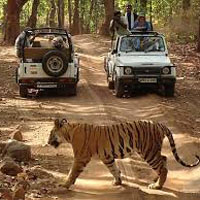 North and Central India Tour with National Park