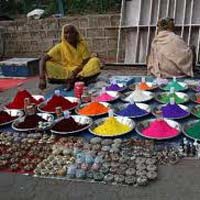 Multicolored Madhya Pradesh Tour