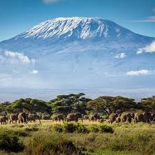7 Days Maasai Mara, Lake Nakuru, Lake Naivasha, and Amboseli Best Experience Safari in Kenya Tour Image
