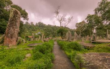 Guwahati – Shillong & Cherrapunji Trip Tour
