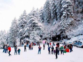 Himachal Holly Tour