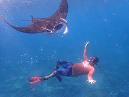 BALI GILI T WITH NUSA PENIDA TOUR PACKAGES