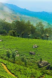 coorg munnar tour package