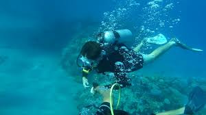Scuba Diving In Malvan With AC