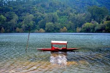 Munnar, Thekkady and Alleppey Premium Package for 5 Days