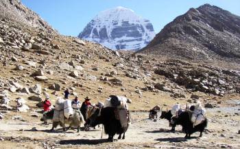 Kailash Manasarovar Yatra with Everest Base Camp Trekking Tour
