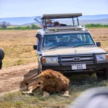 Best of Kenya in 6 Days: Maasai Mara, Lake Nakuru & Naivasha Escape