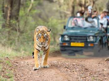 Mussorie Corbett Nainital - Uttarakhand Tour