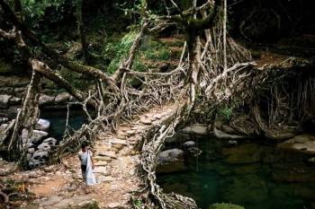 Shillong Tawang Kaziranga (Meghalaya - Assam - Arunachal)