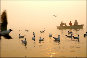 Sunrise Ganga Tour 1 Day Tour