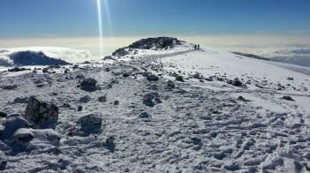 8- Days -Lemosho Route-Mount Kilimanjaro Trekking