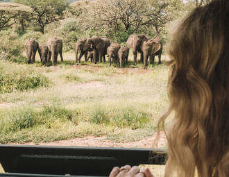 5 Days Tanzania Clasic Safari to Serengeti and Ngorongoro Crater