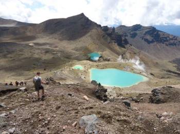 11 Days Kilimanjaro Trekking Northern Circuit Route Tour