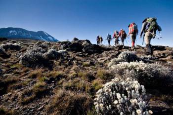 8 Days Kilimanjaro Trekking Marangu Route Tour