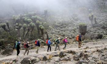 10 Days Kilimanjaro Trekking Lemosho Route Tour