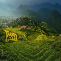 North East Splendor with Darjeeling, Pelling, and Gangtok