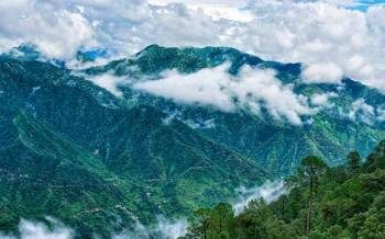 Hills - Jungle Of Uttarakhand