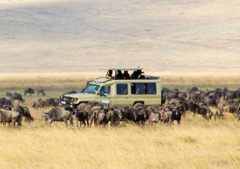 3 Nights 4Days Masai Mara and Lake Nakuru Midrange Safari