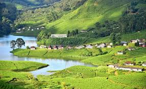 Bangalore-Mysore-Ooty-Munnar-Thekkady-Alleppy 10Days 9Nights Package