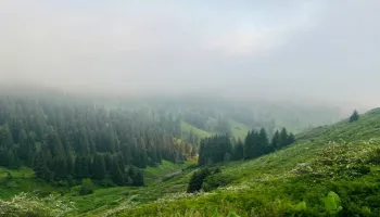 Offbeat Himachal - Tirthan Valley - Great Himalayan National Park 6 Days Tour