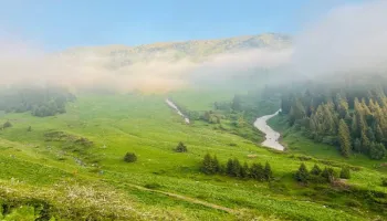 Kuari Pass Trek - Lord Curzon's Trail 6 Days Tour