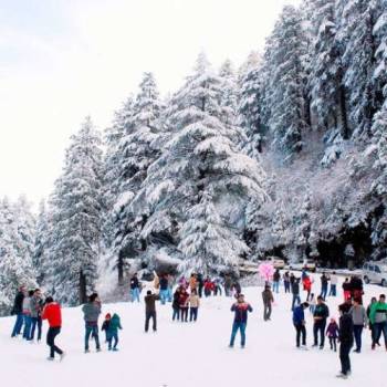 Full Grand Himachal Couple Tour