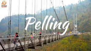 9 Night 10 Days Pelling Darjeeling Tour