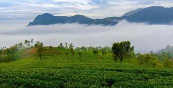 Mysore Ooty Tour Package 4nights/5Days