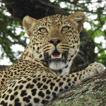8 Days Northern Tanzania Expedition Tour