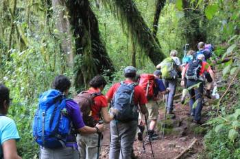 1 Day Kilimanjaro Hiking Experience