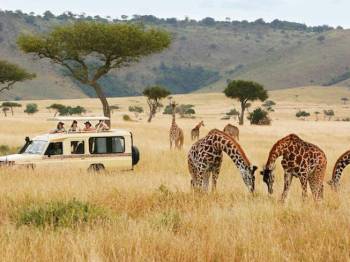 3 Days Extraordinary Selous Adventure Package