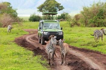 2 Days - 1 Night Selous Safari From Zanzibar