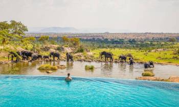 2 Days - 1 Night Serengeti Safari From Zanzibar