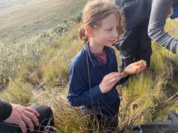 Two Days One Night Mount Kilimanjaro Climbing Via Marangu