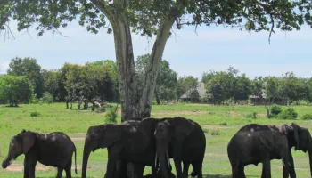 4-Day Mikumi–Udzungwa Wilderness Adventure