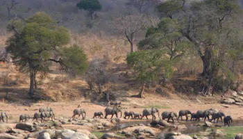 Unforgettable Southern Circuit - Bolt into Zanzibar Tour