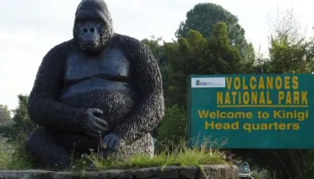 Rwanda Majestic Gorillas - Scenic Lakes Tour