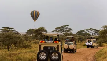 Luxury African Odyssey Expedition - Kenya - Tanzania - Zanzibar Tour