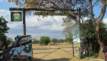 Mikumi National Park - Day Trip From Dar Es Salaam