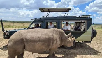4 Days Maasai Mara & Lake Naivasha Safari