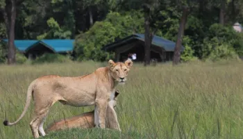 4 Day Amboseli, Tsavo East & Tsavo West Safari