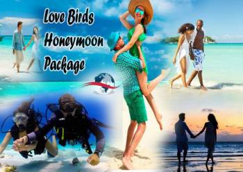 Love Birds Honeymoon Package 6 Days and 5 Nights