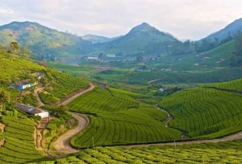 1 Night 2 Days Theni - Megamalai Tour Package