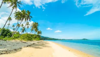 The Flora Residency-Exe 3 Nights - 4 Days Tour