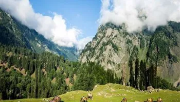 Kashmir Packages 4 Nights - 5 Days