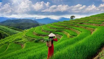 Nagaland Specials 4 Nights - 5 Days Tour