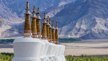 8 Days Kathmandu - Pokhara - Chitwan Majestical Nepal Package