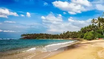 Historic Sri Lanka 5 Nights - 6 Days Tour