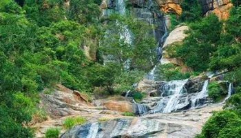 Magical Sri Lanka 6 Nights - 7 Days Tour