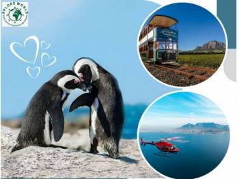 7 - Day Cape Town & Wineyards Honeymoon